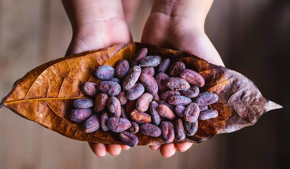 Vuelve la Feria del Cacao y el Chocolate a Guadalajara con más de 40 marcas nacionales y actividades familiares