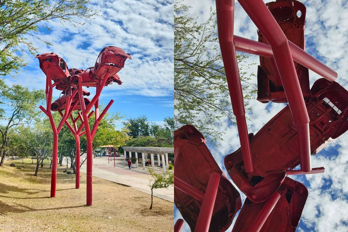 parque de los vochos