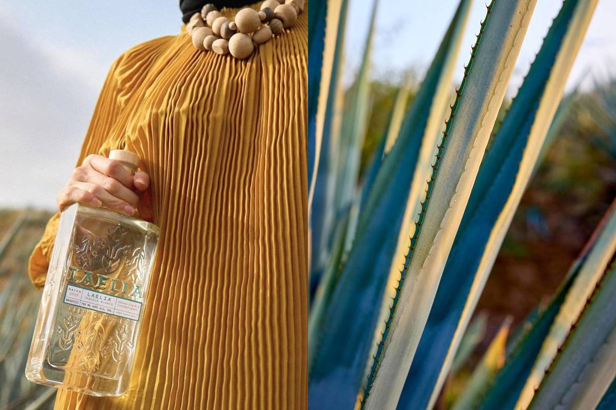 regalos locales en guadalajara