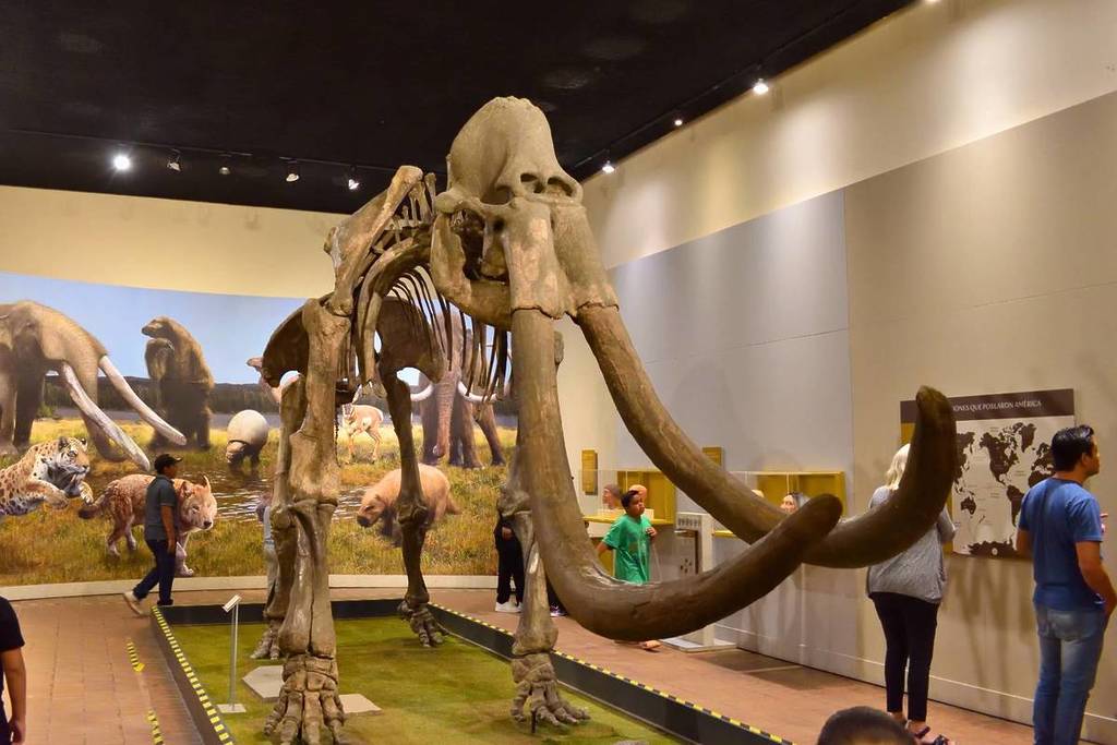 Horarios especiales museos guadalajara vacaciones invierno