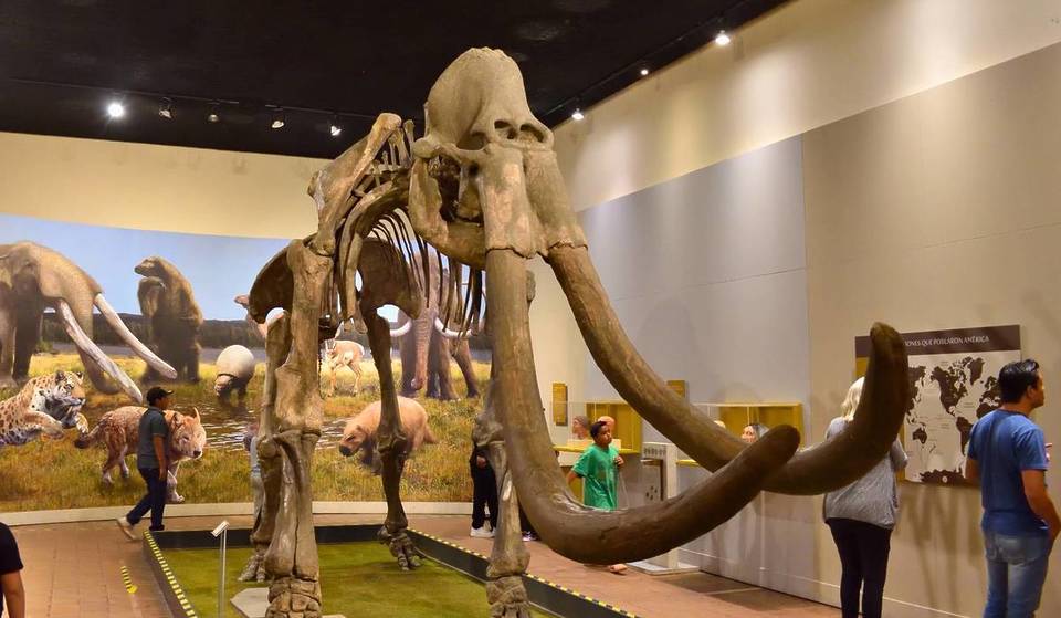 Museos en Guadalajara: horarios especiales para estas vacaciones de invierno 2025