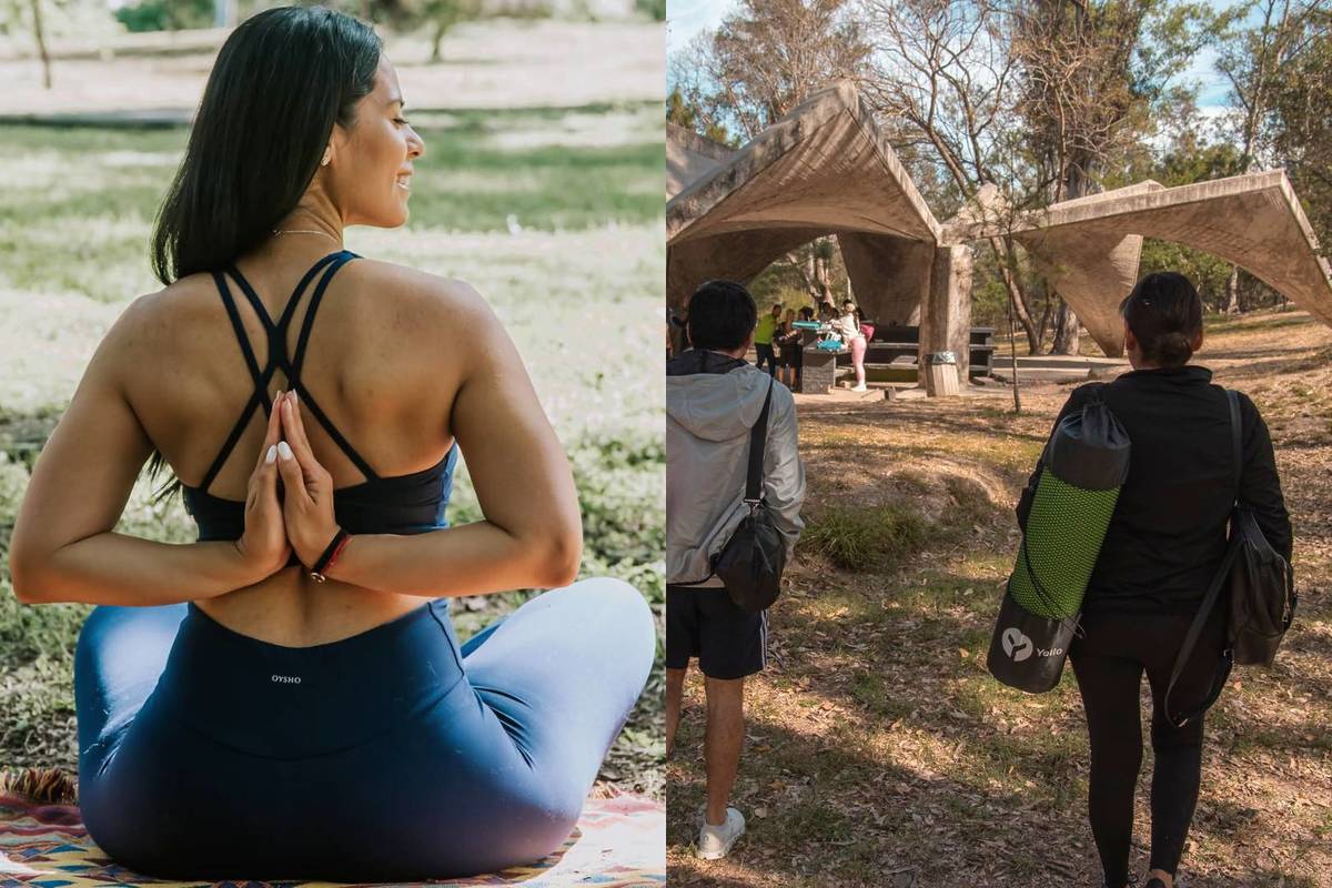 clases meditación bosque colomos