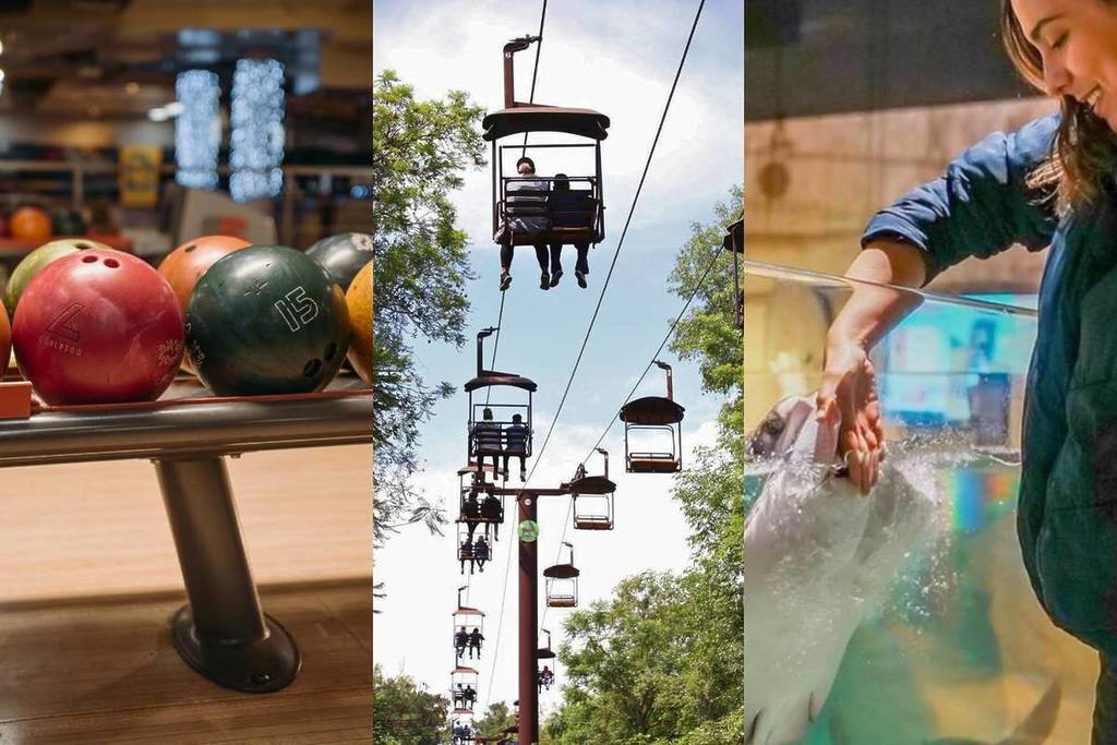 lugares abiertos 1 de enero en Guadalajara