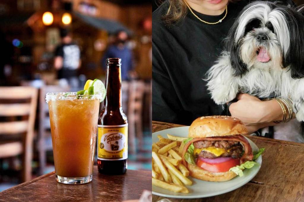 dónde encontrar tejuichelas en Guadalajara