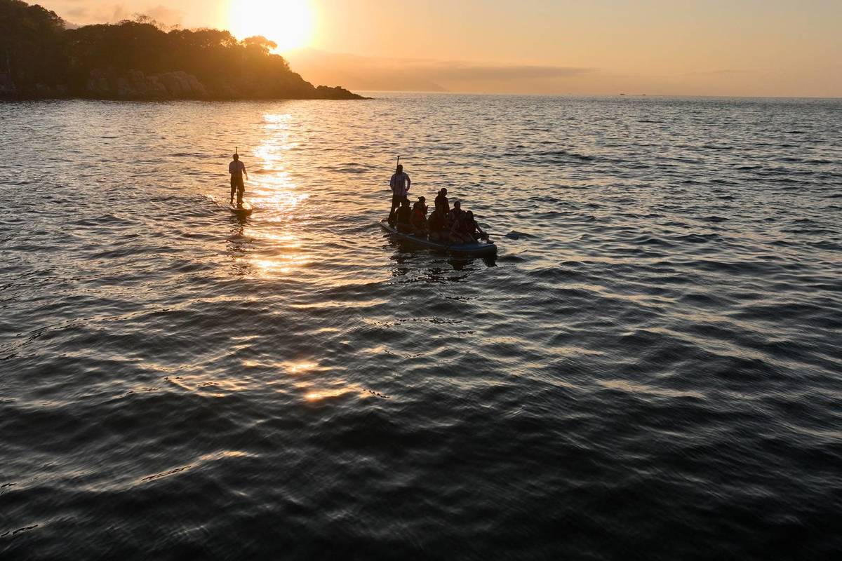 bioluminiscencia cerca de Guadalajara