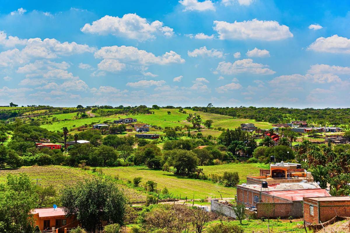 Jalostotitlán