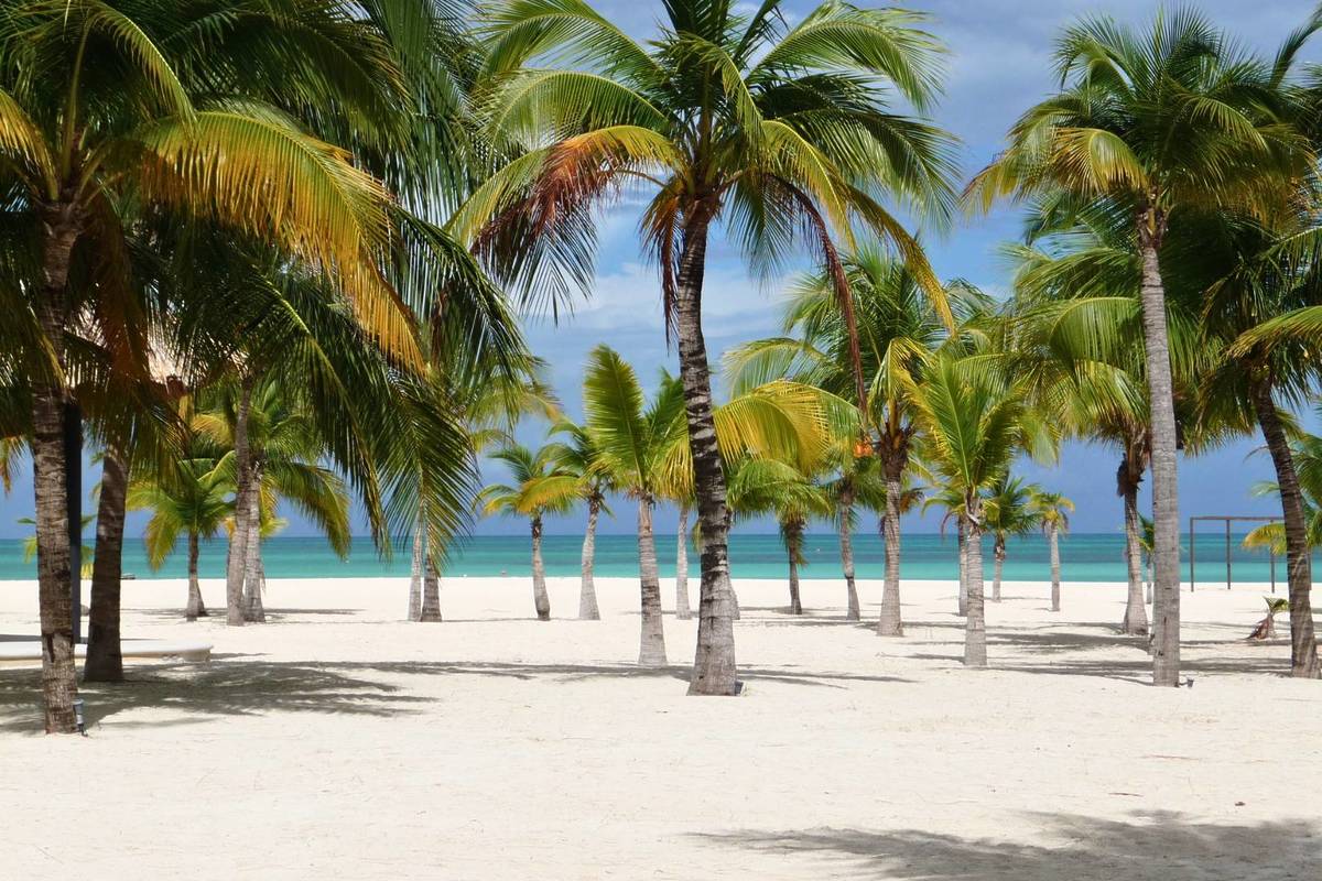 playa más bonita del mundo está en méxico