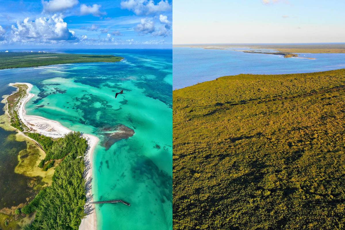 playa más bonita del mundo está en méxico