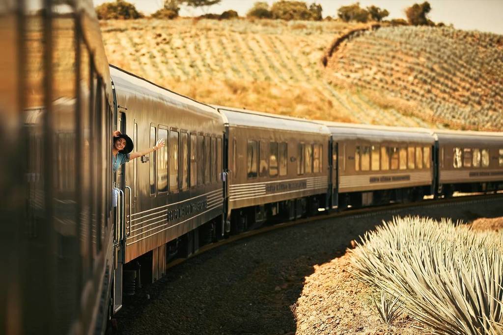 Ocho años Gallo Altanero