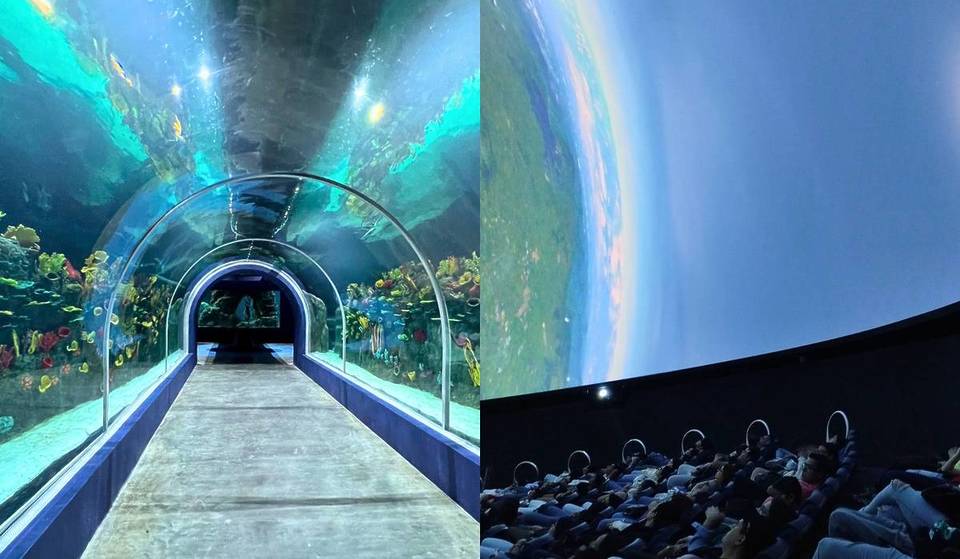 Aquariums, water parks, and even a zoo: free and discounted admission on Zapopan’s Spring Tours