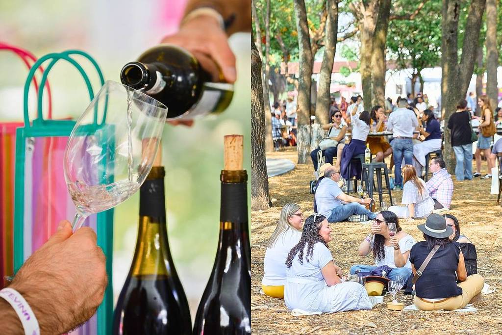 festival vino fevino guadalajara