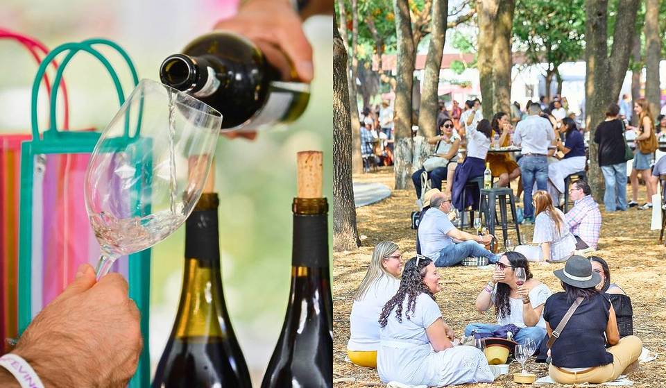 The new edition of the Fevino 2026 Mexican wine festival is back in Guadalajara