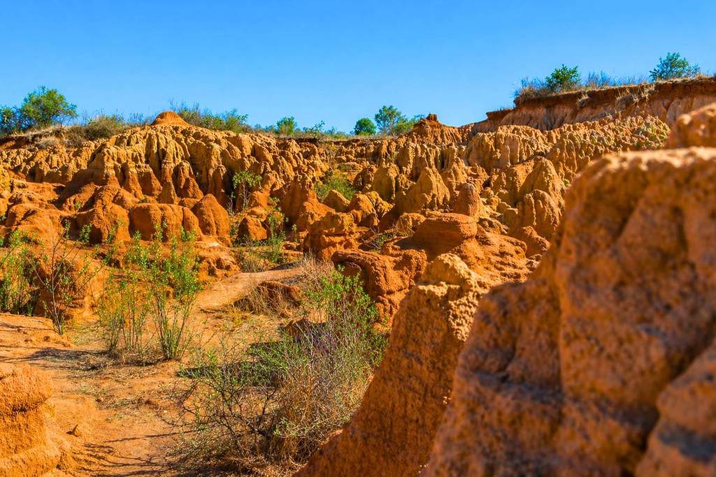 Los Piloncillos Michoacán