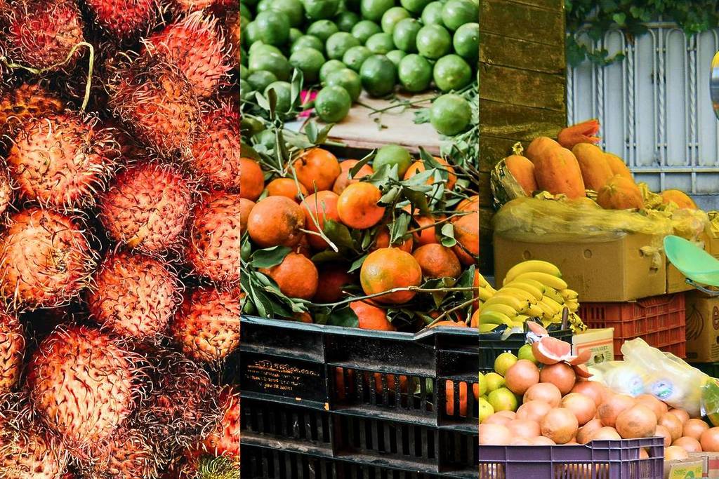 tianguis de guadalajara