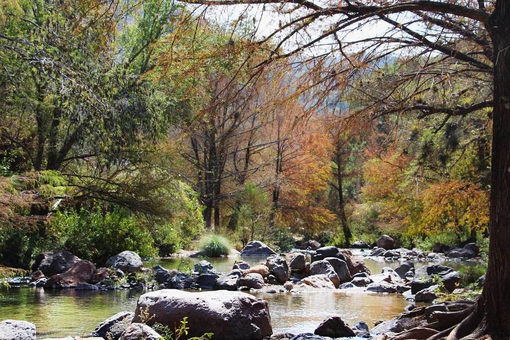 Charco de la Vaca