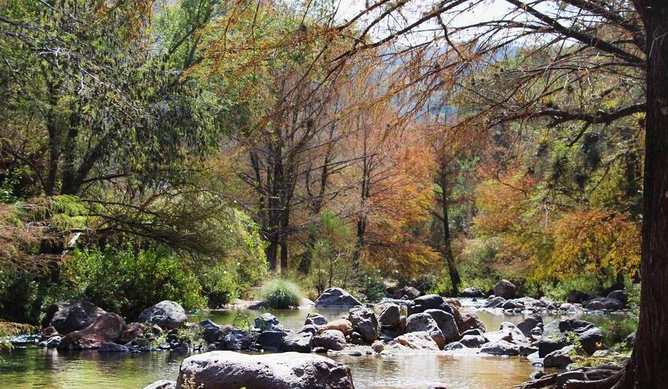 Existen unas cascadas con aguas termales y pozas naturales gratuitas a solo una hora y media de Guadalajara