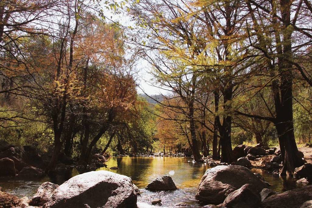 Charco de la Vaca