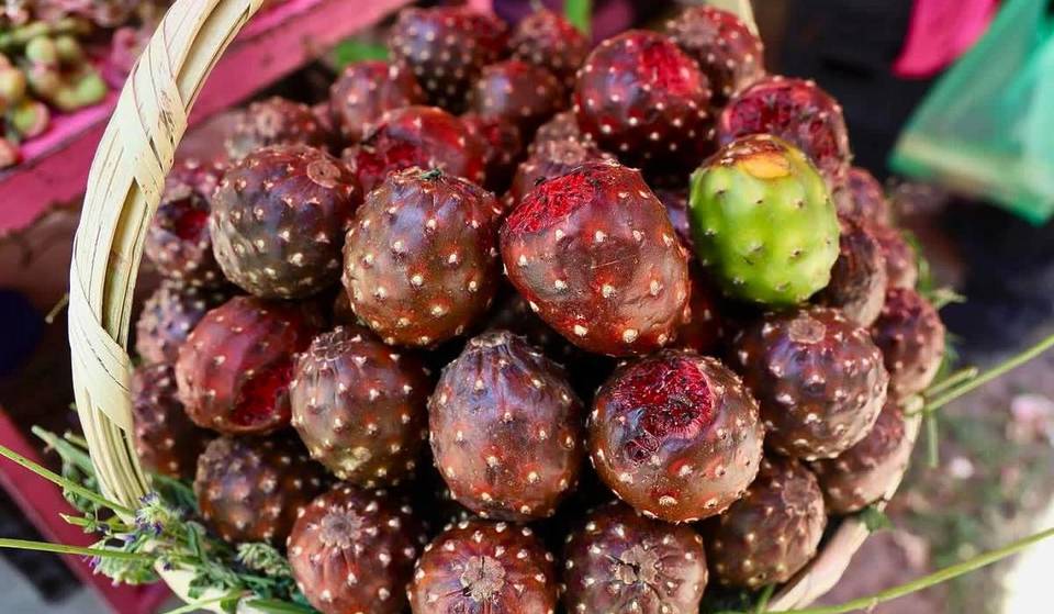Feria de la Pitaya 2026: ¿dónde encontrar pitayas en Guadalajara durante la temporada?