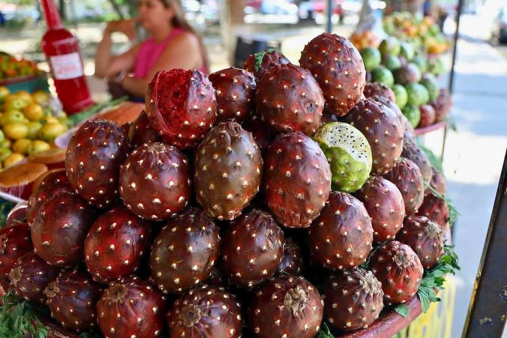 where to find dragon fruit in Guadalajara