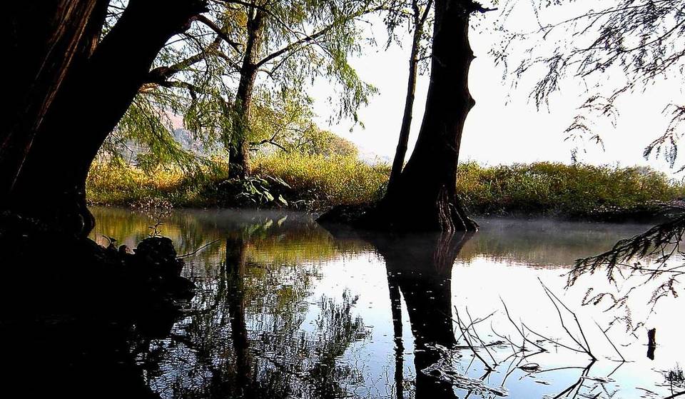 Hermoso manantial a 1.5 horas de Guadalajara con camping desde $80: alberca, asadores y más