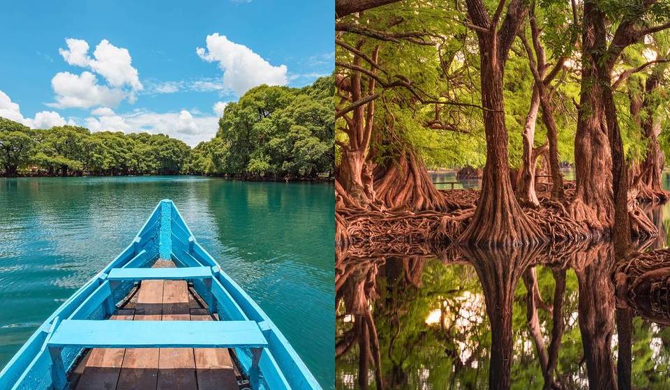 Pocos conocen este parque nacional a 2.5 horas de Guadalajara con aguas cristalinas y ahuehuetes gigantes