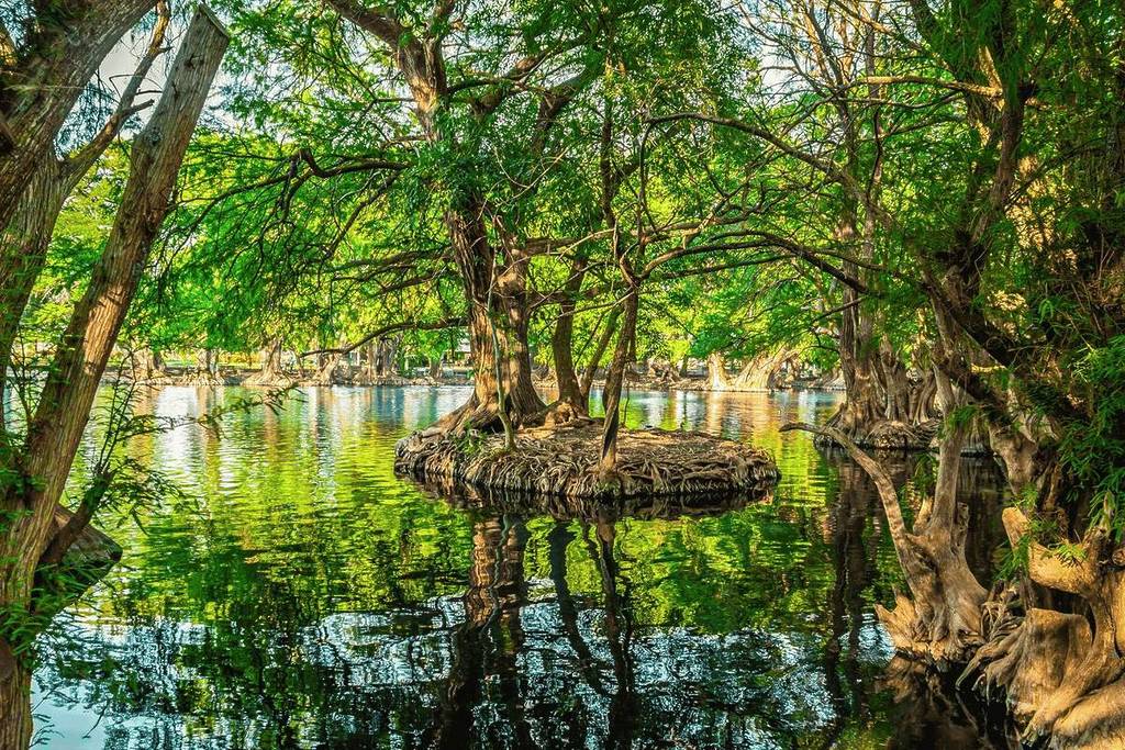 Camécuaro Lake National Park