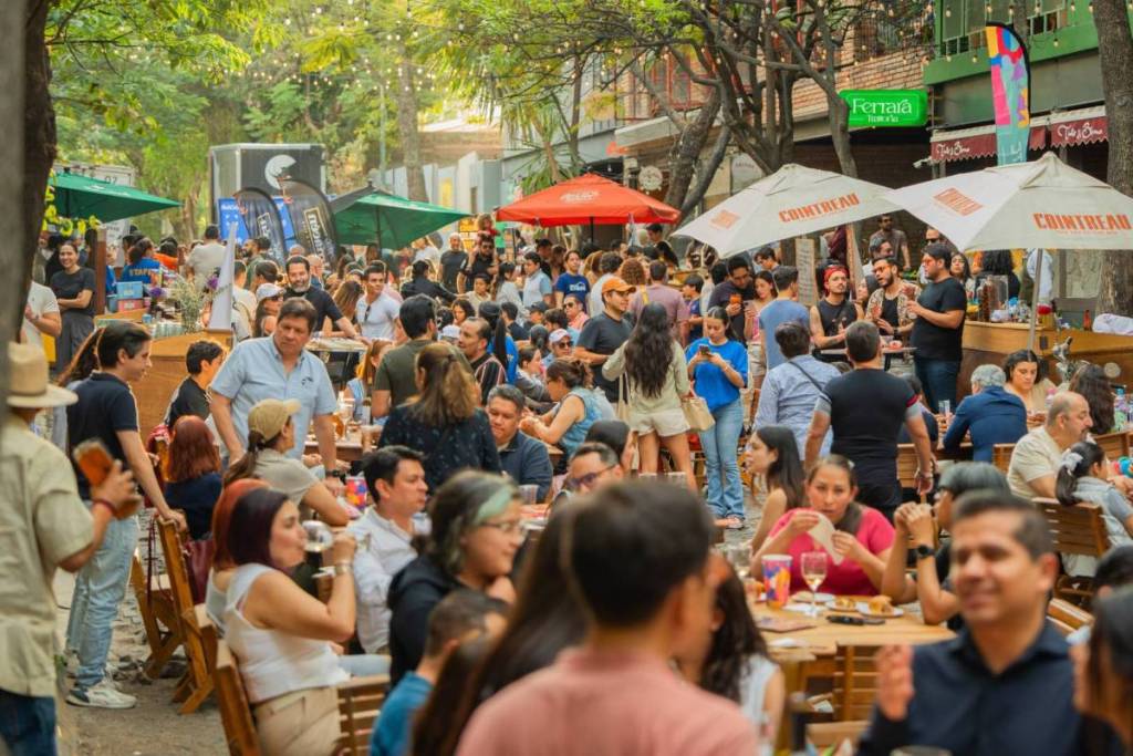 Festival Andante Guadalajara