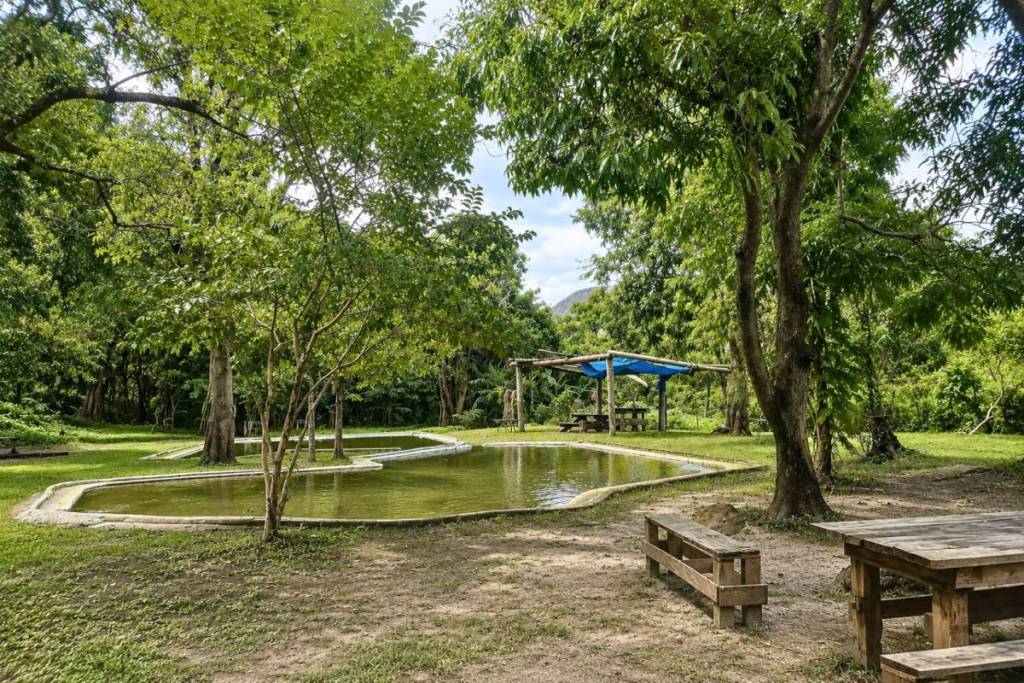 Parque Jabalí