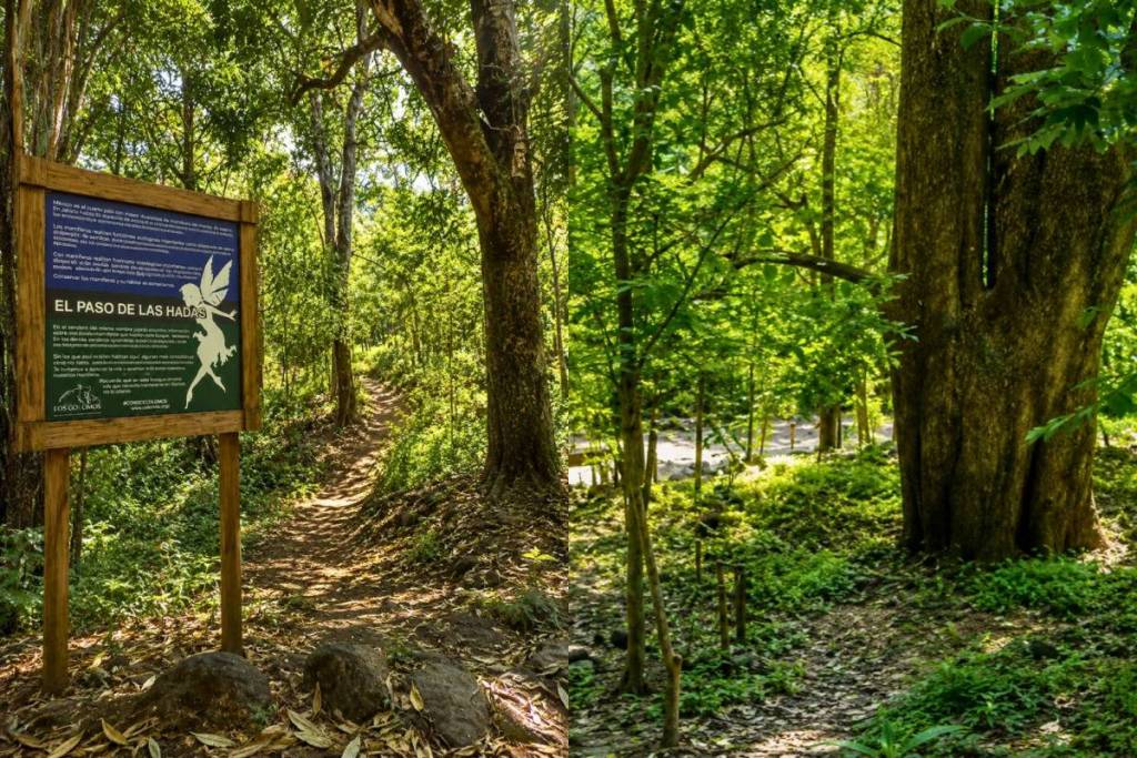 Parque Jabalí