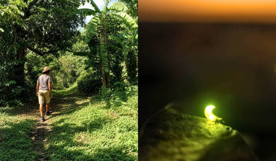 A solo 40 minutos de Guadalajara: el parque donde puedes nadar en agua de manantial, acampar y ver luciérnagas