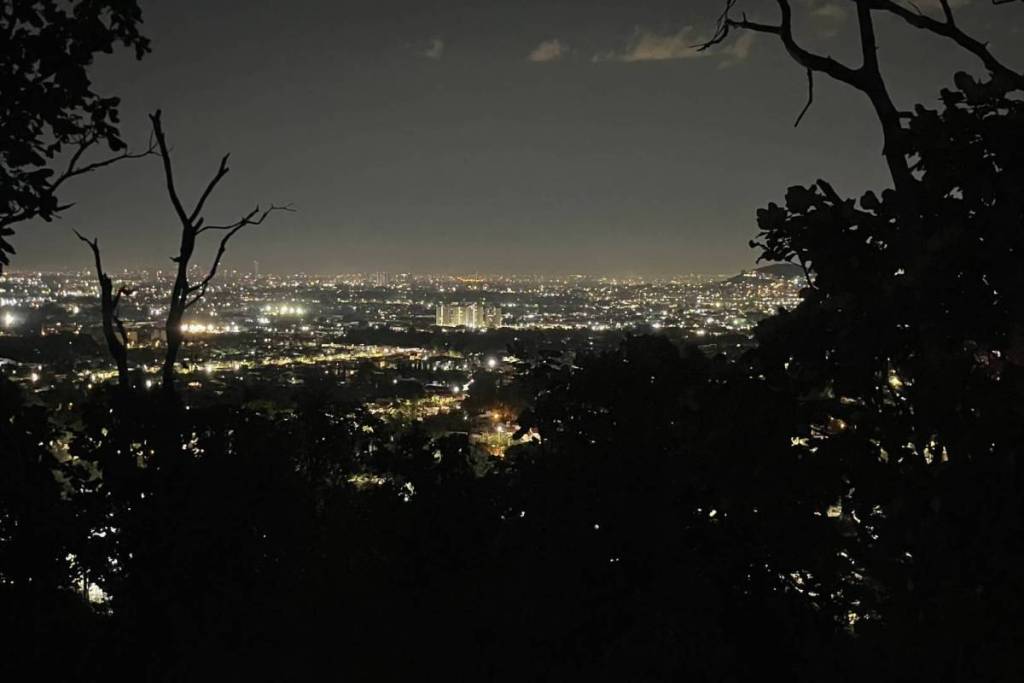 nighttime firefly walk in Guadalajara