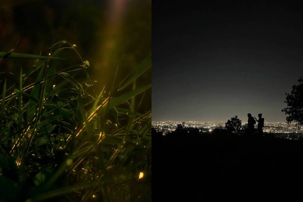 nighttime firefly walk in Guadalajara