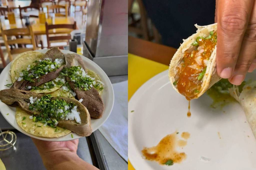 Xrysw Ruelas and Óscar Segundo’s favorite restaurants