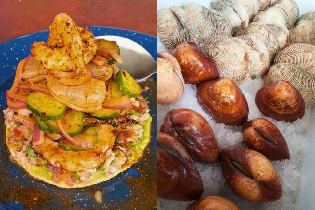 Desconchadero de Caguamas
