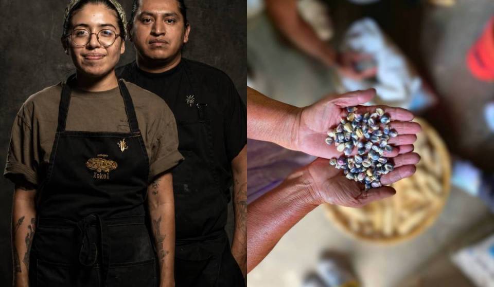 The 15 favorite restaurants in Guadalajara by Xrysw Ruelas and Óscar Segundo, chefs at Xokol