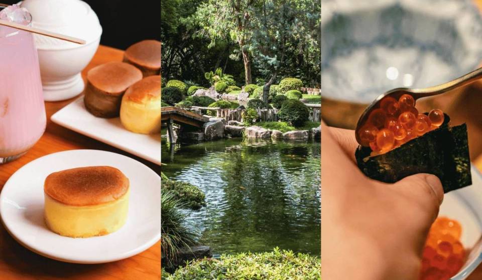 6 lugares en Guadalajara que te harán sentir como en Japón