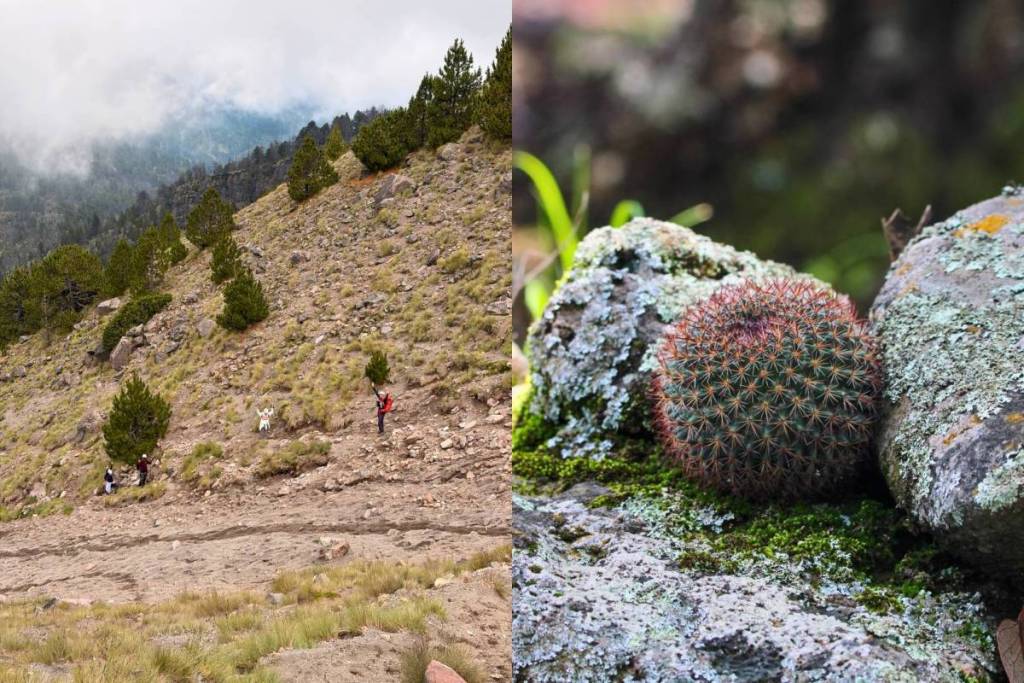 Tour piedras bola senderismo