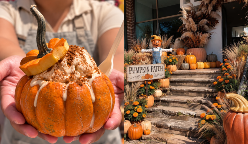 Fall Festival in Guadalajara: Pumpkins, Activities, and Food
