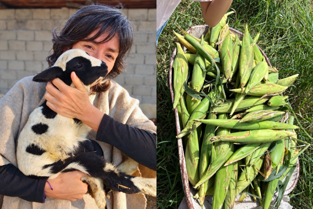 Tamal-making among the flowers