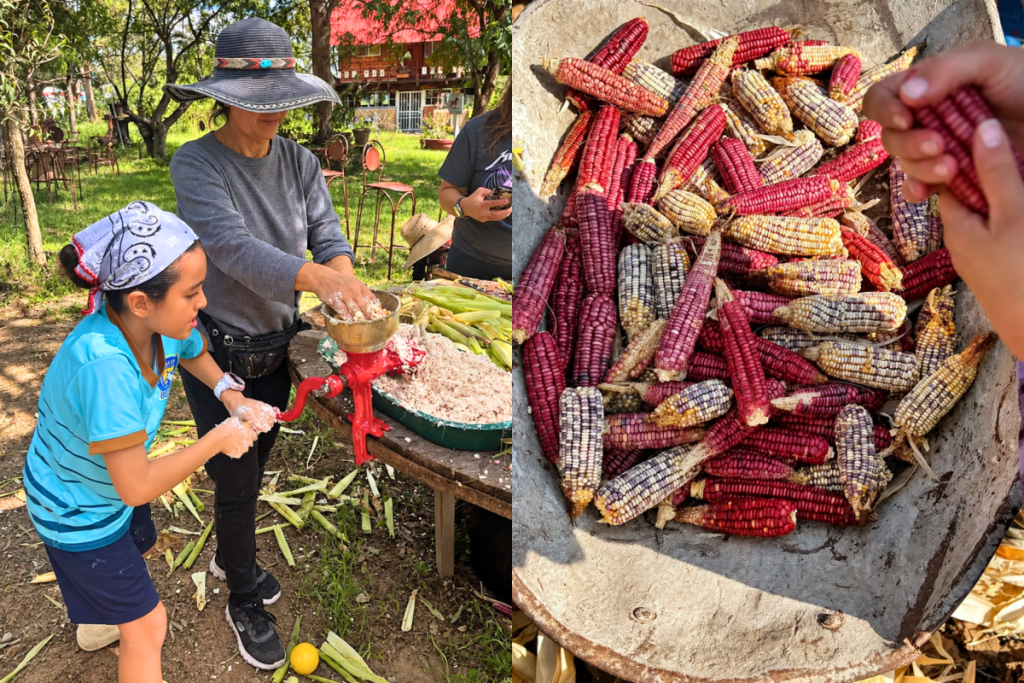 Tamal-making among the flowers