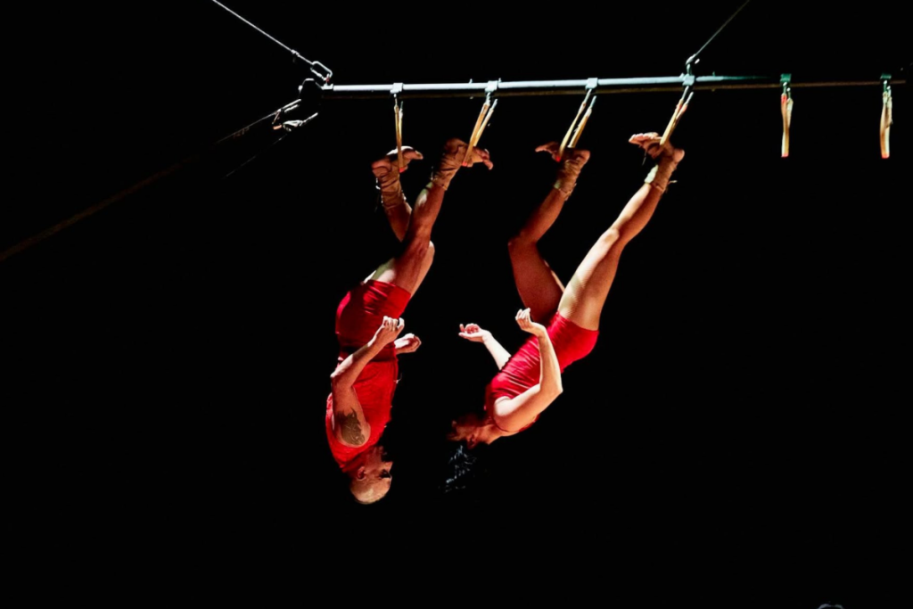 Zapopan International Circus Festival