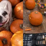 Fall Festival at Casa Nido Guadalajara (video)