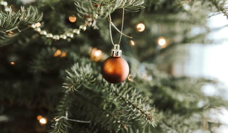 This Christmas Tree Delivery Business Will Raise Money For A Ukrainian Refugee Charity