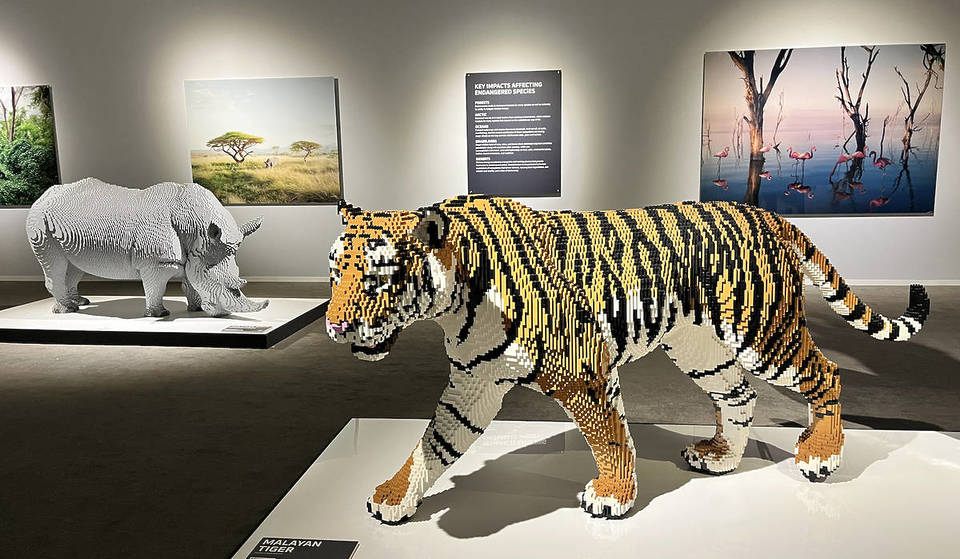 Time Is Running Out To Explore A Wondrous World Of LEGO® Creations – The Art Of The Brick Exhibition Is Leaving Leeds Soon