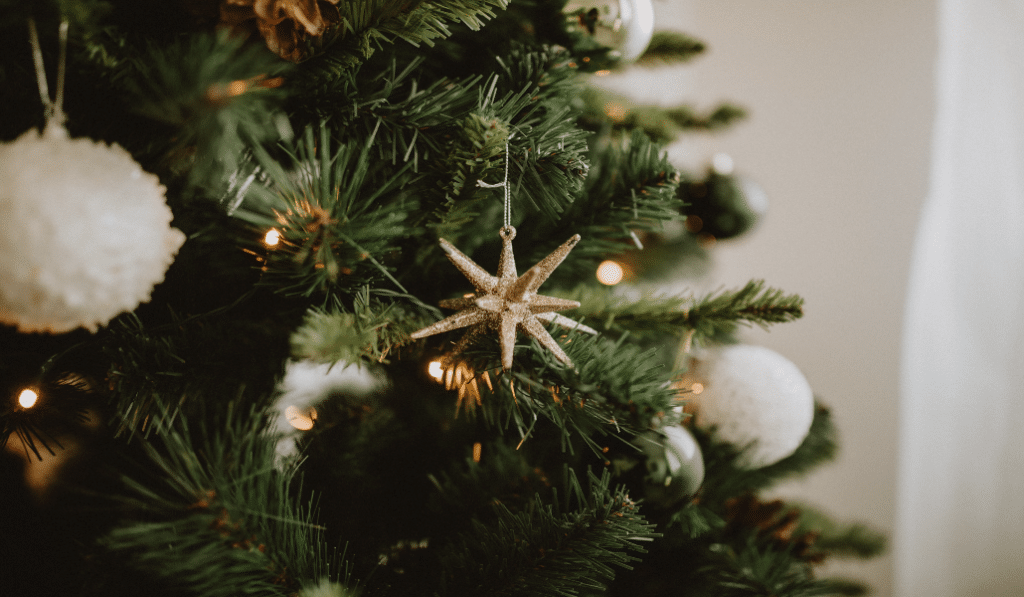 christmas tree