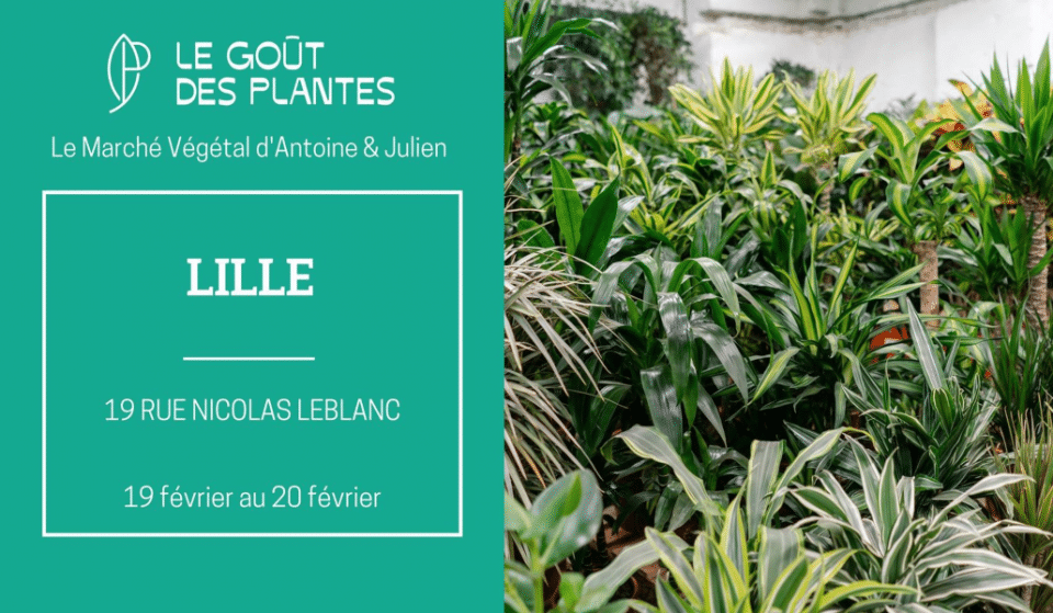 Bon plan : une vente éphémère de plantes à partir de 2 euros ce week-end !