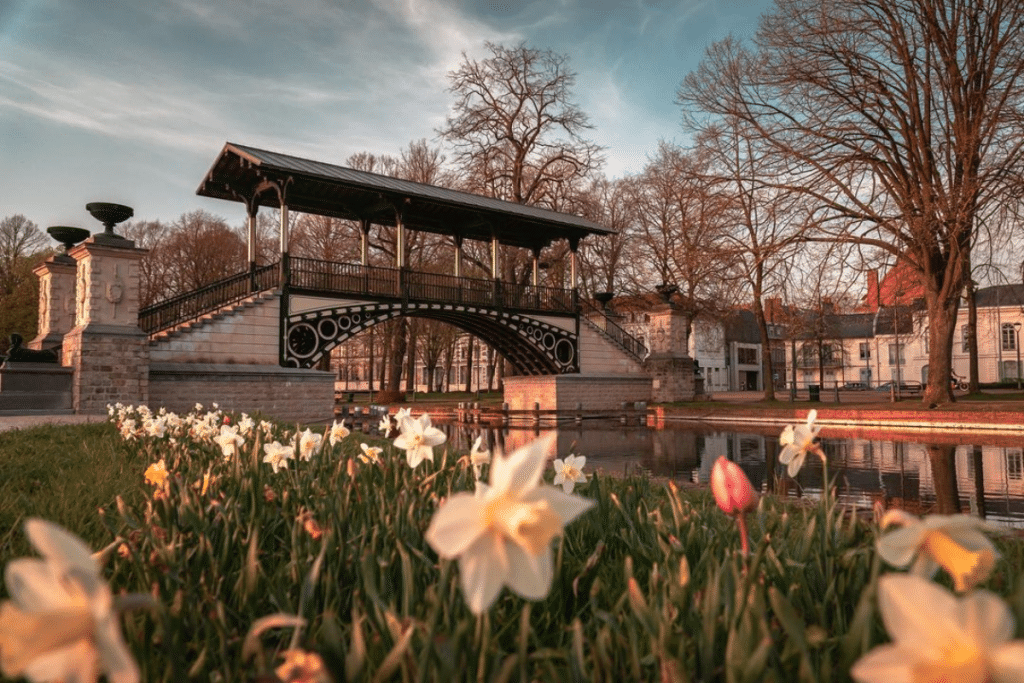 Vos plus belles photos de l’arrivée du printemps à Lille !