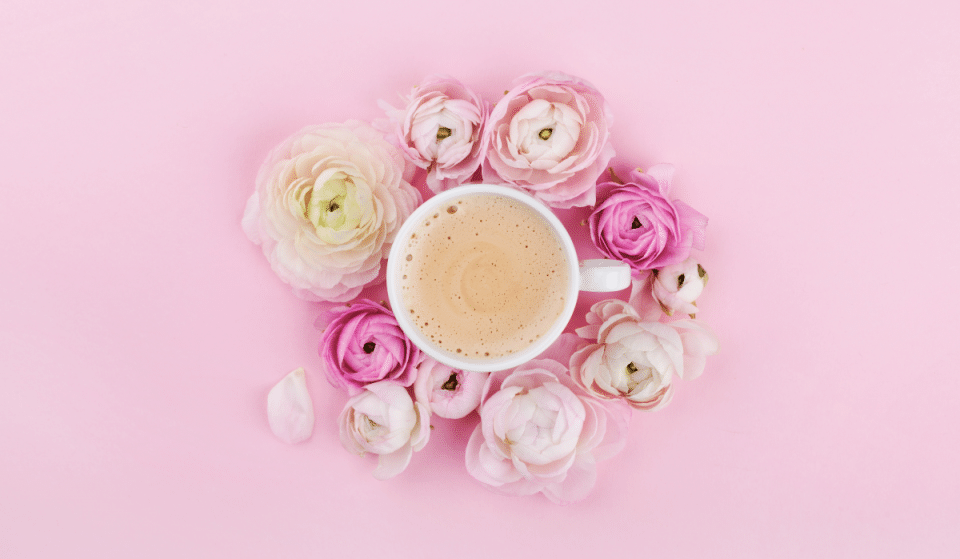Bloom : un nouveau café fleuri débarque dans le Vieux-Lille !