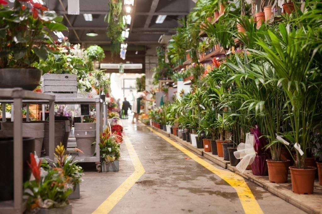 Une vente XXL de plantes à prix minis au Grand Playground ce week-end !