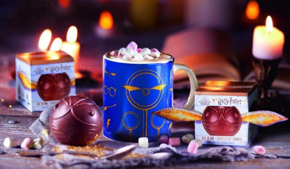 Avis aux Moldus : Un Vif d’Or au chocolat Harry Potter à déguster en édition limitée !
